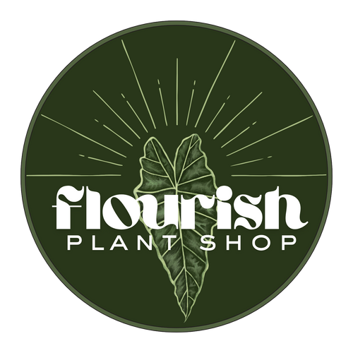 Flourish Plant Shop